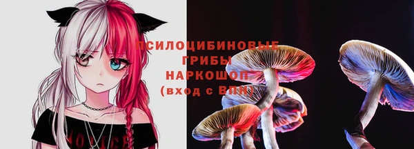 герыч Дмитриев