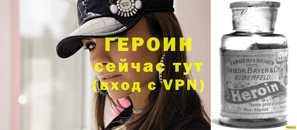 индика Анива