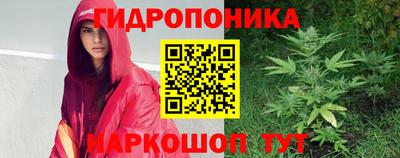 прущая мука Гатчина