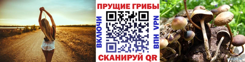 Псилоцибиновые грибы Psilocybe  Еманжелинск 