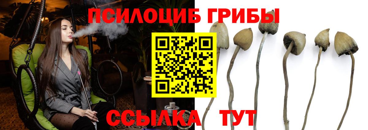 Псилоцибиновые грибы Cubensis  Вход с VPN  Еманжелинск 